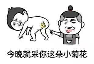 今晚就采你这朵小菊花吧
