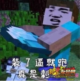 我的世界