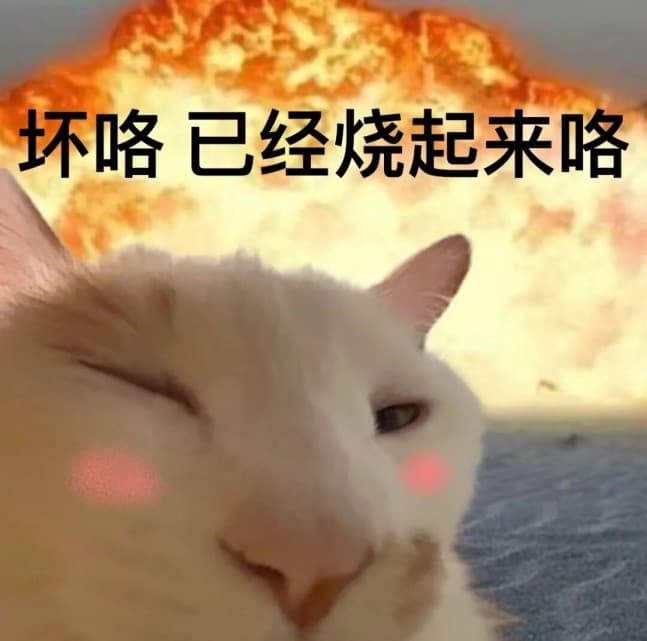 发福了呀腊八蒜小猫表情包