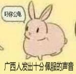 广西人发出十分佩服的声音（叼你公龟）
