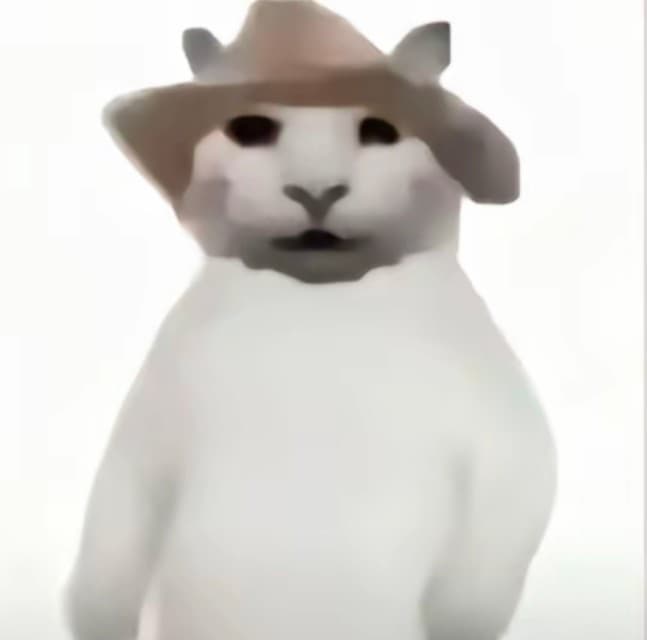 没建模没经济小猫表情包系列