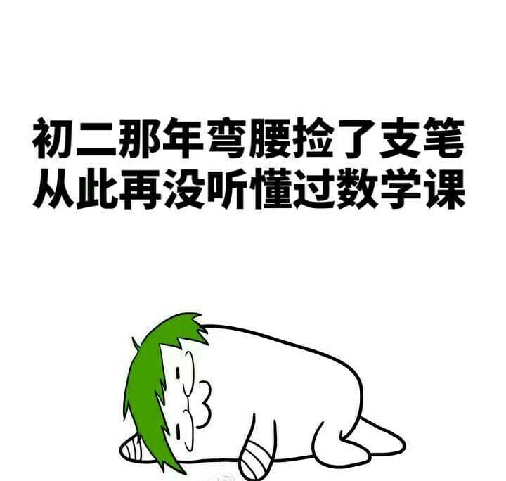 初二那年弯腰捡了支笔 从此再没听懂