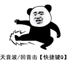 天音波/回音击【快捷键Q】