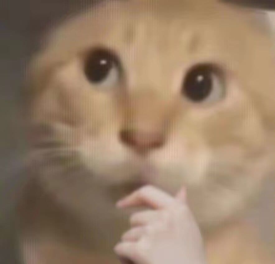 耄耋疑惑