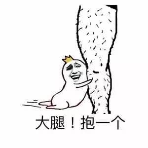 大腿！抱一个