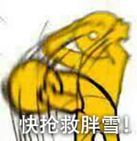 快抢救胖雪