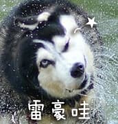 雷豪哇