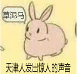 天津人发出惊人的声音（草泥马）