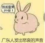 广东人发出悲哀的声音（我丢雷果扑街！）