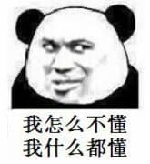 我怎么不懂，我什么都懂！