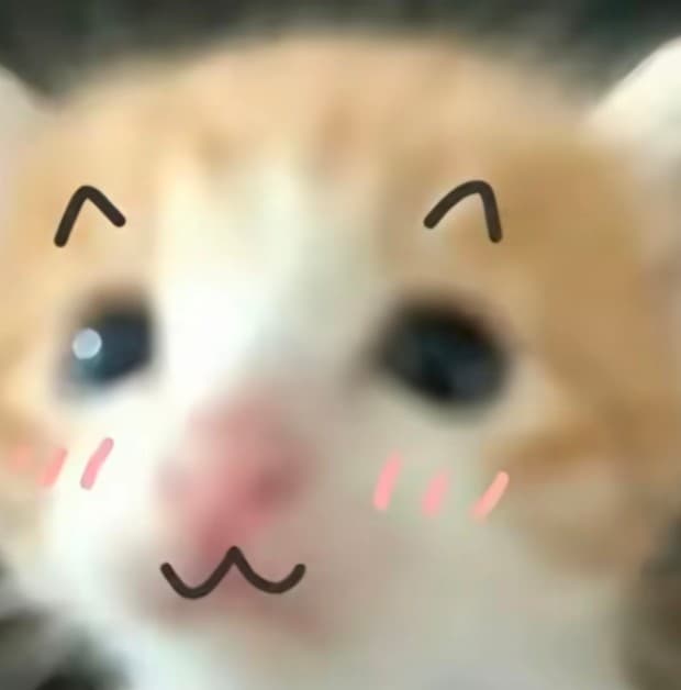 死对头小猫P图表情包