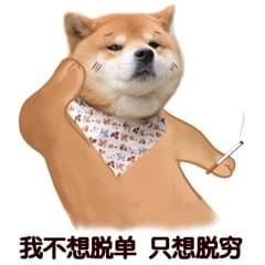 我不想脱单只想脱穷