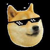 Deal with it Doge