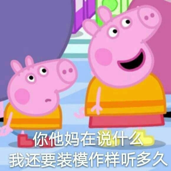 你他妈在说什么，我还要装模作样听多久