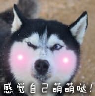 感觉自己萌萌哒！