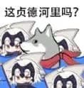这贞德河里吗?
