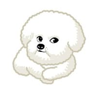 白色小狗