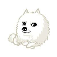 长毛