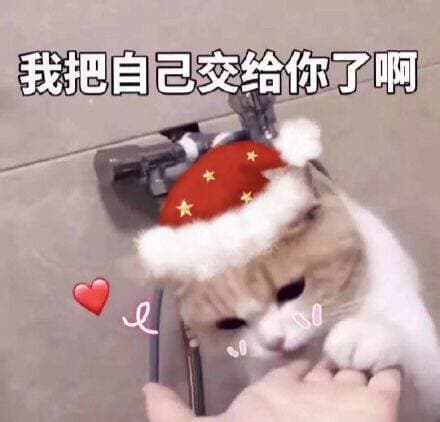 我把自己给你了啊