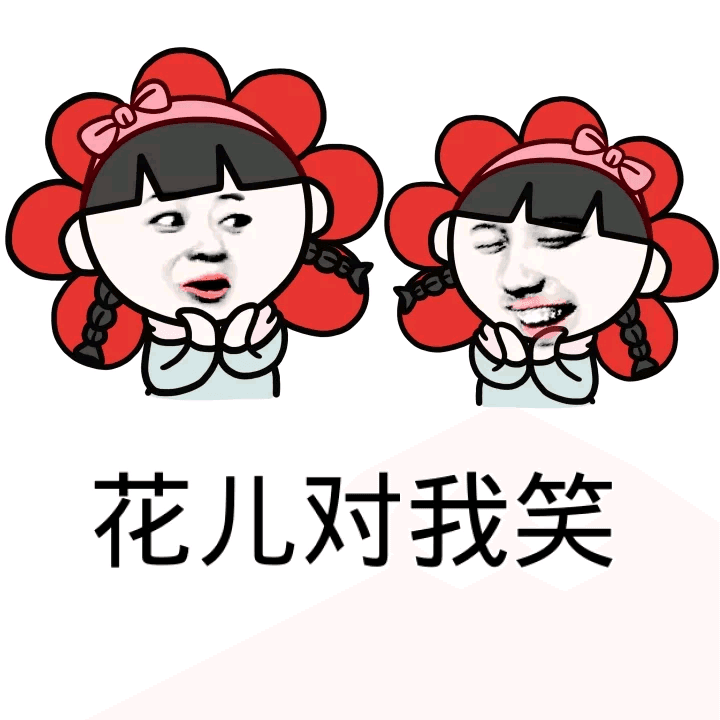 花儿对我笑