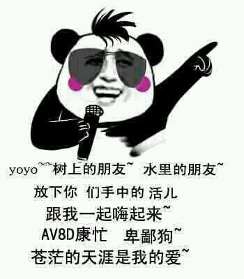 yoyo~~树上的朋友~水里的朋友~ 放下你们手中的活儿 跟我一起嗨起来~ AV8D康忙，卑鄙狗~ 苍茫的天涯是我的爱~