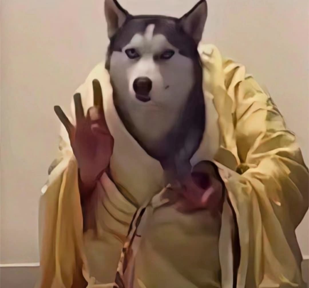 猫猫律师—狗外婆—狗二叔沙雕表情包