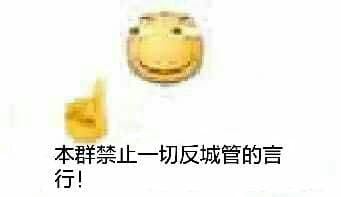 本群禁止一切反城管的言行