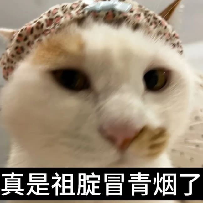发福了呀腊八蒜小猫表情包