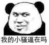 我的小骚逼在吗？