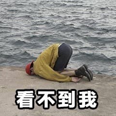 看不到我