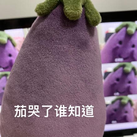 茄哭了 谁知道
