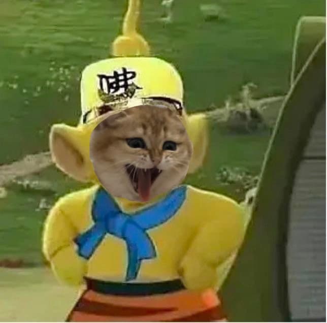 猫猫头西游记孙悟空头像
