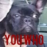 YOU WHO