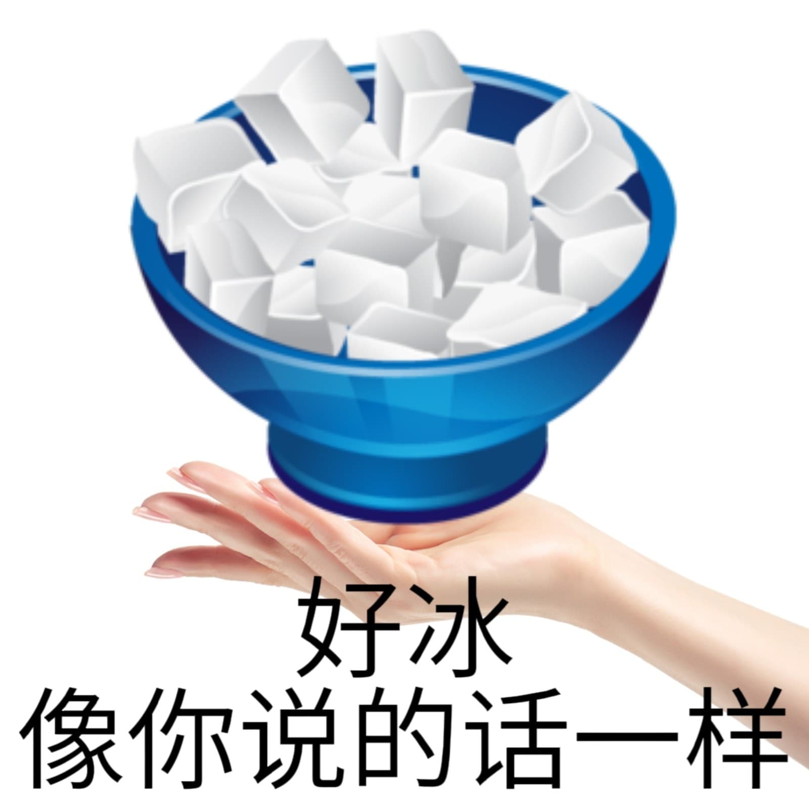 好冰像你说的话一样
