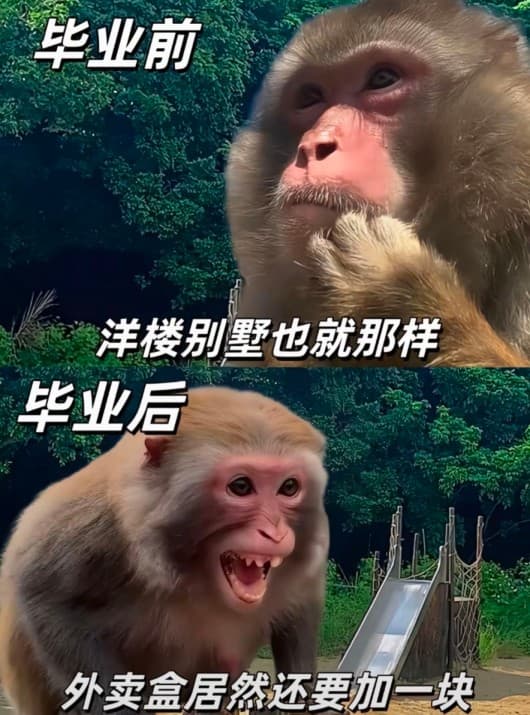 吗喽打工表情包