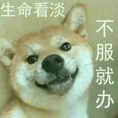 柴犬斗图表情包