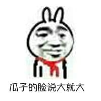 瓜子的脸说大就大