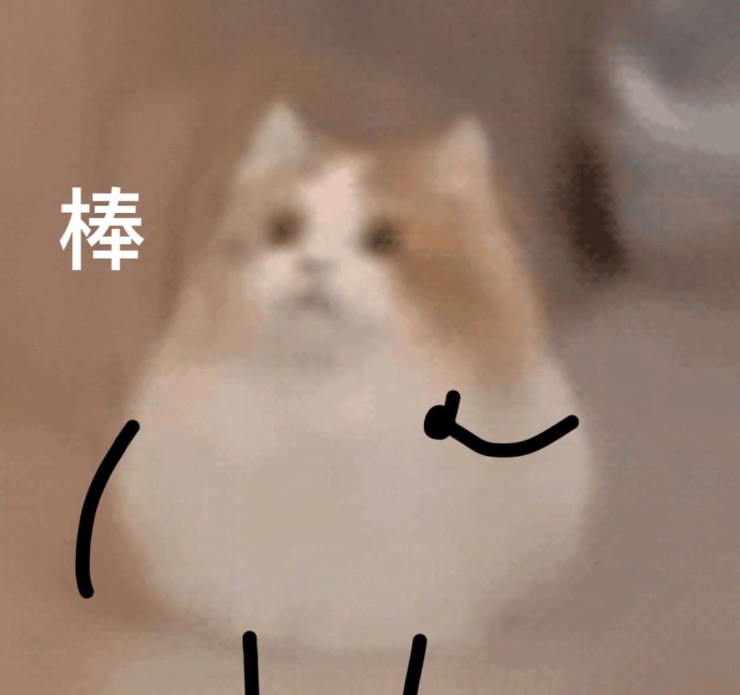 棒
