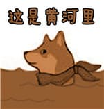 这是黄河里