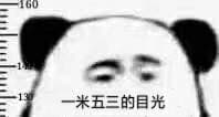 一米五三的目光