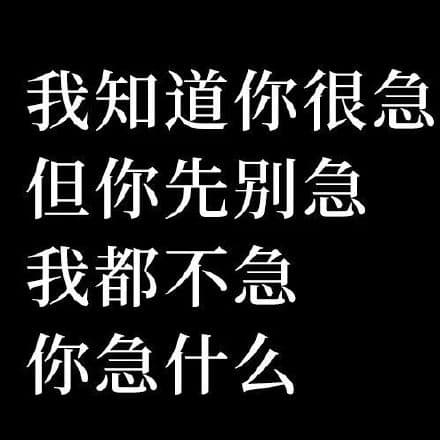 我知道你很急但你先别急我都不急你急什么