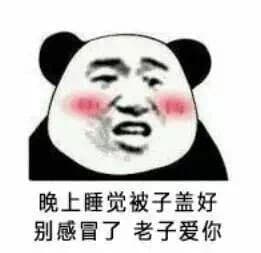 晚上睡觉被子盖好别感冒了老子爱你