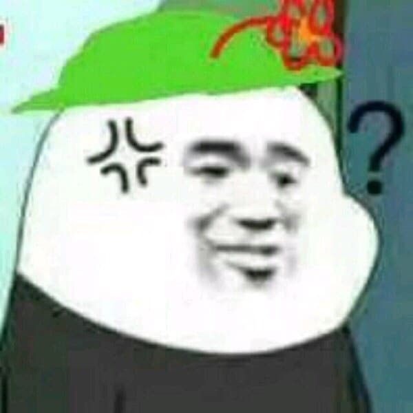 头上带着小红花和绿帽子？