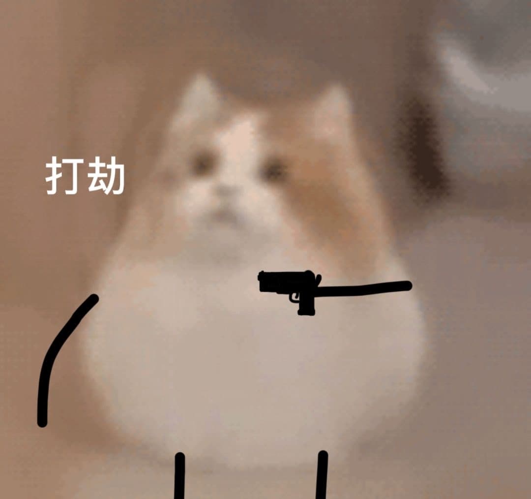 打劫