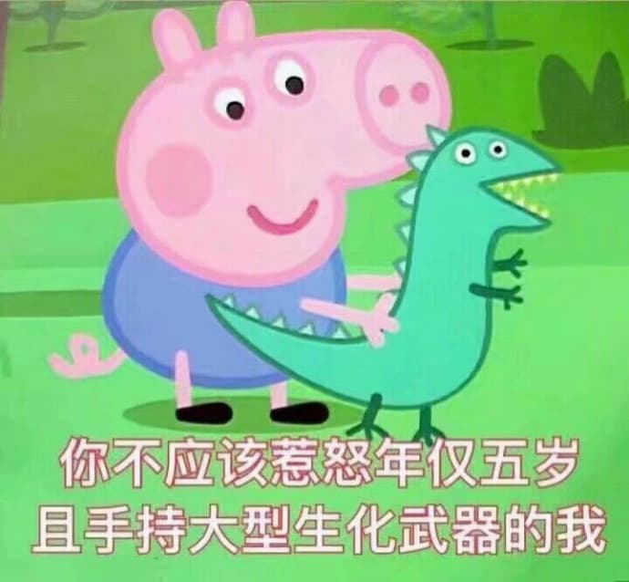 ·你不应该惹怒年仅五岁且手持大型生化武器的我