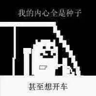 我的内心全是种子，甚至想开车