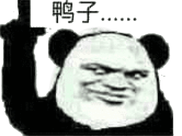 鸭子