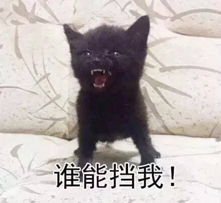 谁能挡我！