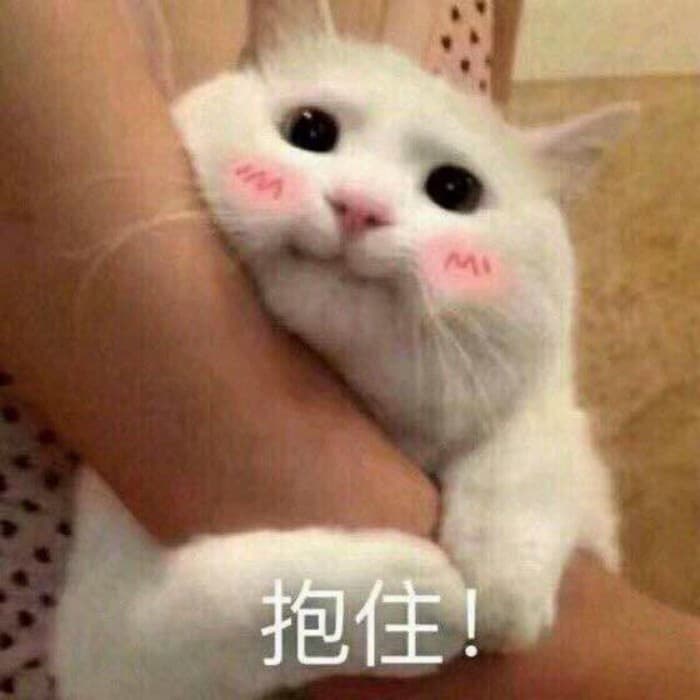 抱住