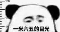一米六五的目光